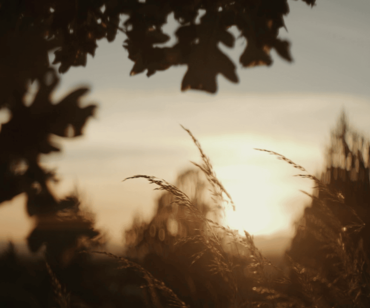  Architects-of-trinitygateinvestments-header