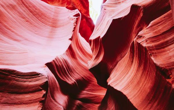 Trinity Gate Investments Single asset continuation vehicule